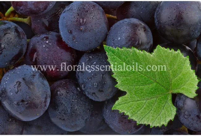 Grapeseed Carrier Oil