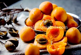 Apricot Kernel Carrier Oil