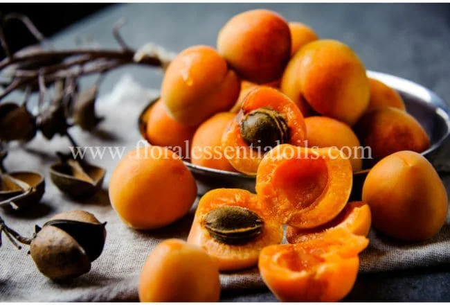 Apricot Kernel Carrier Oil