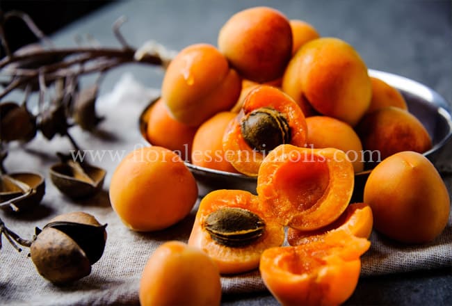 Apricot Kernel Oil, Food Grade