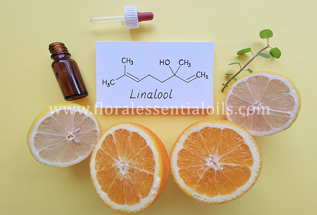 Wholesale LEMON EUCALYPTUS 15ml - Urban Sun essential oils - Fieldfolio