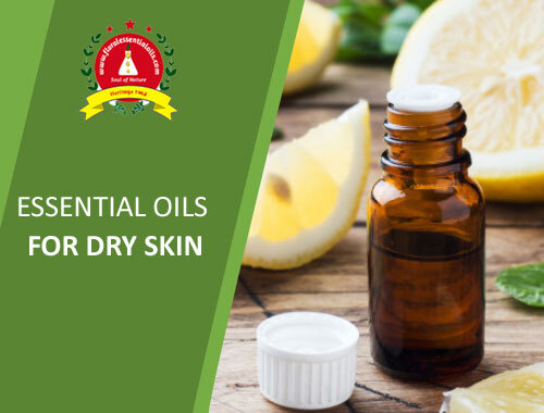 essential oils for dry skin