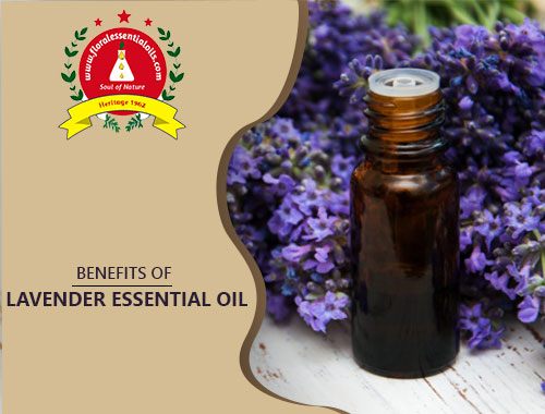 lavender essential oil benefits