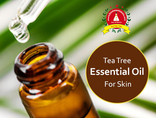 tea tree essential oil for skin