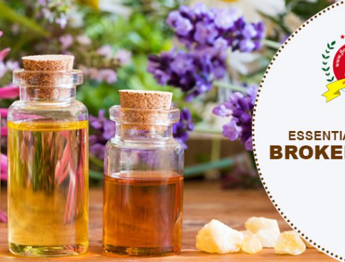 essential oils for broken bones