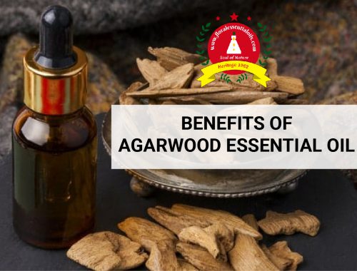 benefits of agarwood essential oil