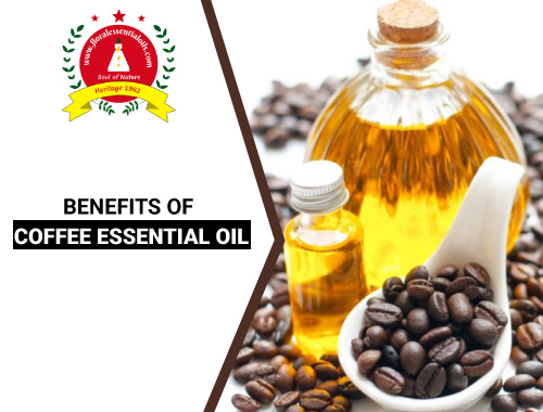 benefits of coffee essential oil