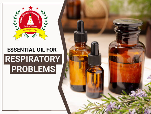 essential oils for respiratory problems