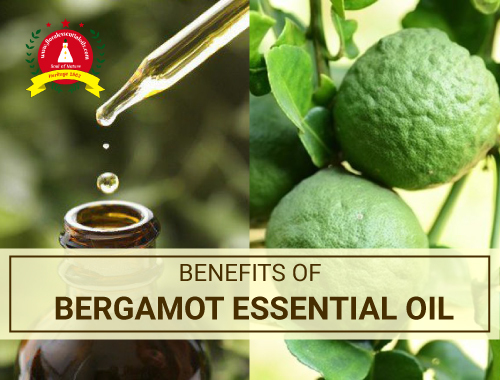 Benefits of Bergamot Essential Oil