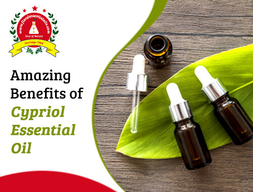 beneifts of cypriol essential oil