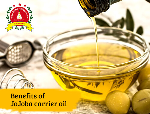 benefits of jojoba carrier oil