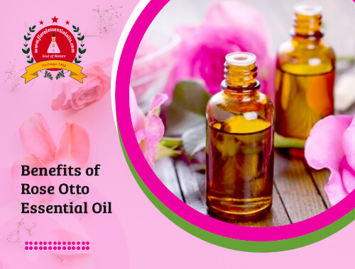 rose otto essential oil benefits