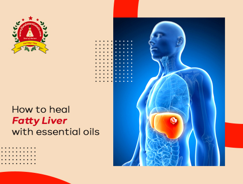 essential-oils-for-fatty-liver