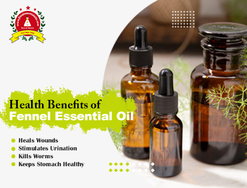 Funnel Essential Oils