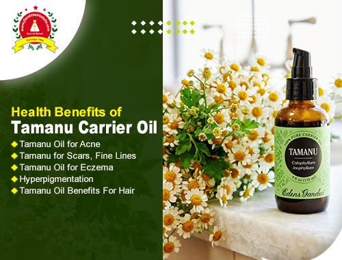 Tamanu Carrier Oil