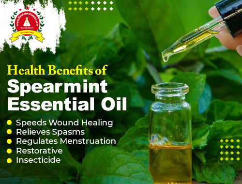 pure essential oils manufacturers