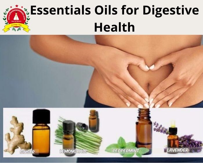 essential oil wholesalers