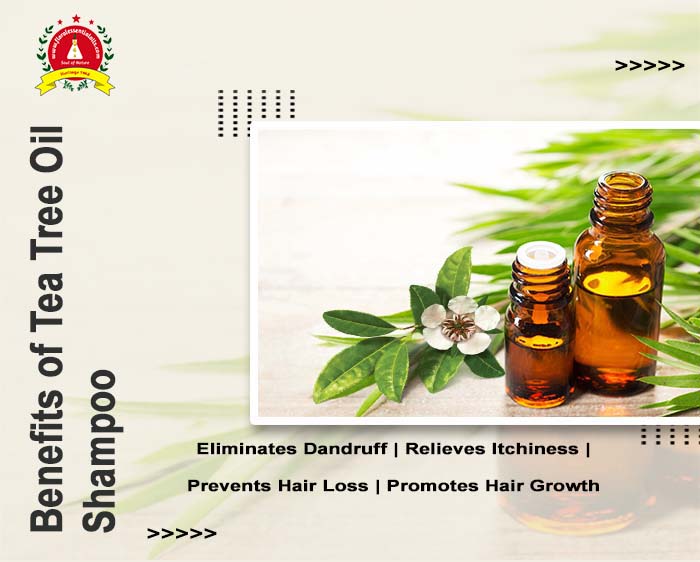 Essential Oils