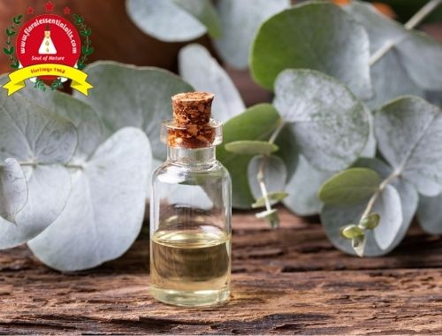 Essential Oils Manufactures