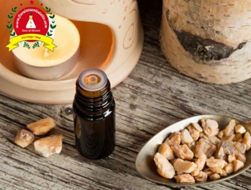 Essential Oils Manufactures