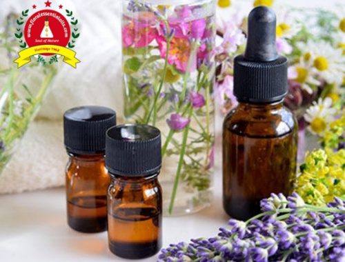 Essential Oils Manufactures