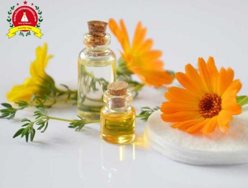 Essential Oils Manufactures
