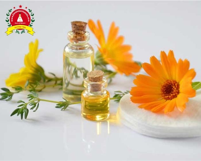 Essential Oils Manufactures