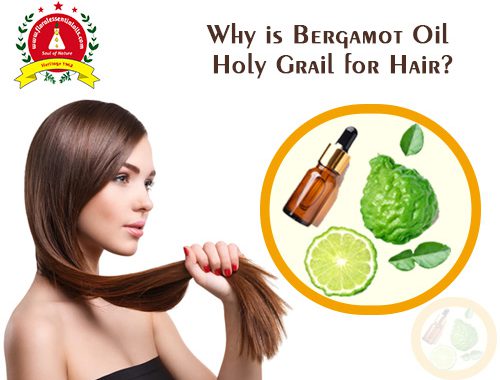 Bergamot Essential Oil