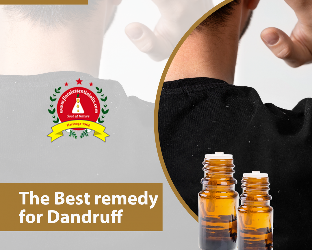 essential oils manufacturers in india