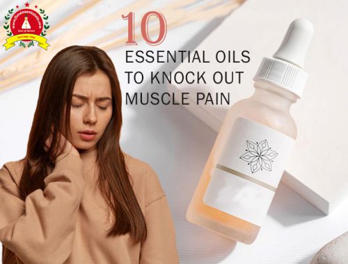 essential oil manufacturer