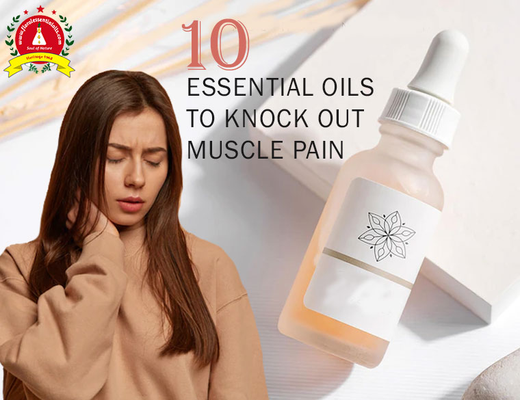 essential oil manufacturer