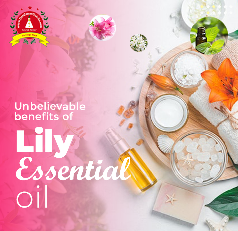 pure absolute oils suppliers