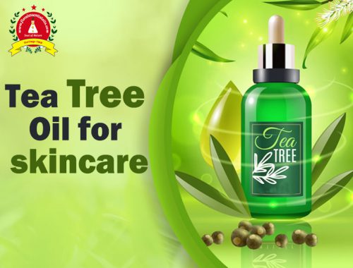 Essential Oil Manufacturers in Kannauj