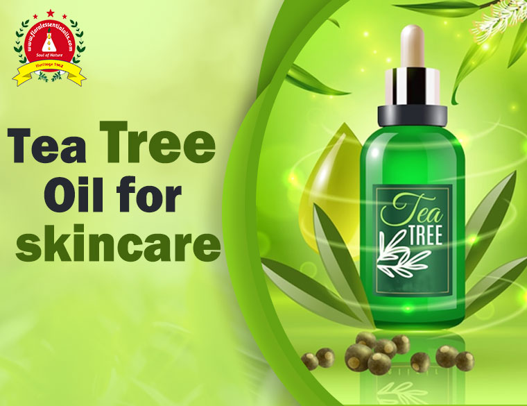 Essential Oil Manufacturers in Kannauj