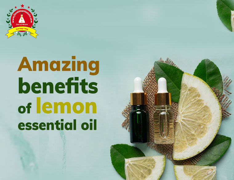 Essential Oil Manufacturers in Kannauj
