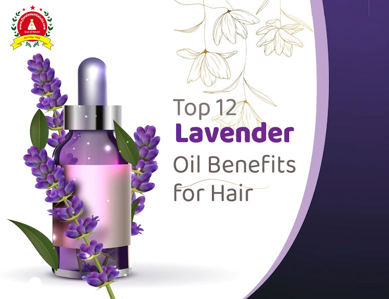 lavender essential oils