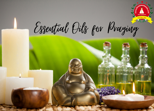 essential oil suppliers in Delhi