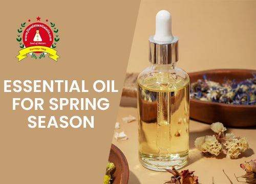 olive Oil