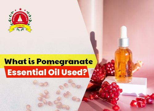 Pomegranate Oil