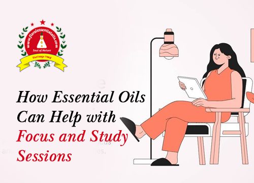 How Essential Oils Can Help with Focus and Study Sessions