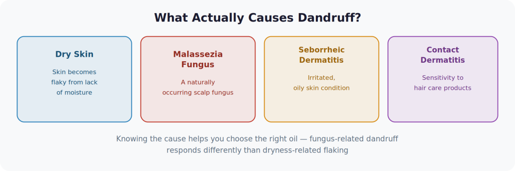 Infographic 1: The Four Main Causes of Dandruff