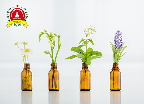 Essential Oils List: An A–Z Guide to 30 Popular Oils and Their Uses